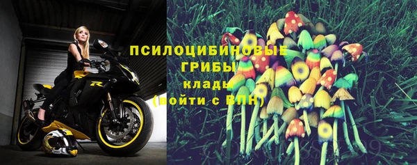 Альфа ПВП Аркадак