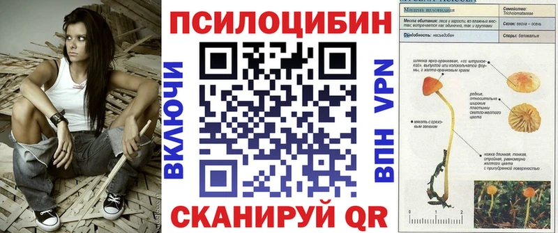 купить наркотик  Орёл  Псилоцибиновые грибы Psilocybe 